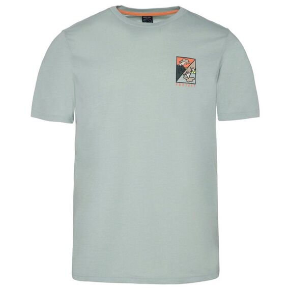 PROTEST Koszulka męska PRTABDIEL zielona, Kolor: szary, Rozmiar: M, 6 zdjęcie