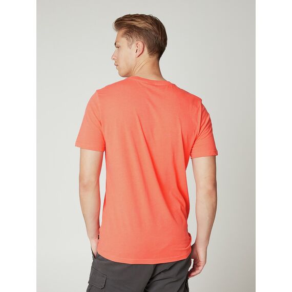 PROTEST Koszulka męska PRTARMANN pomarańczowa, Kolor: pomarańczowy, Rozmiar: S, 2 zdjęcie PROTEST Koszulka męska PRTARMANN pomarańczowa, Kolor: pomarańczowy, Rozmiar: S, 2 zdjęcie