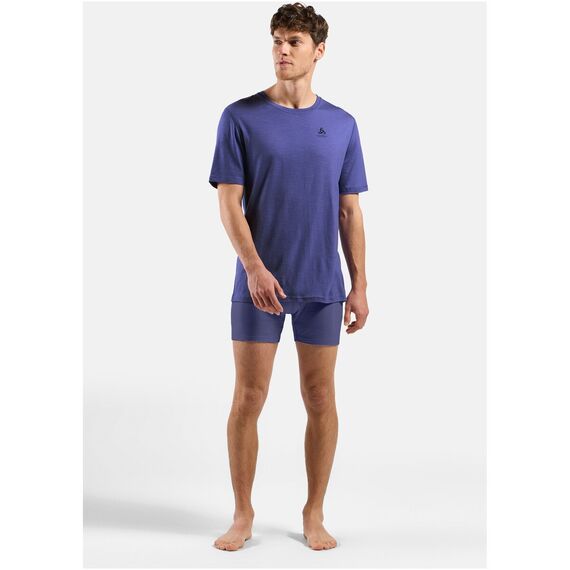 Koszulka męska Odlo BL TOP crew neck s/s MERINO 160 niebieska, Kolor: niebieski, Rozmiar: L
