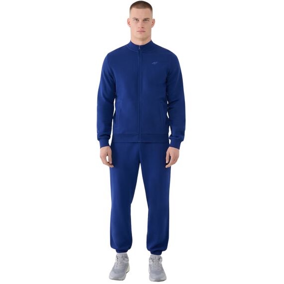 4F spodnie męskie z dzianiny french terry z kolekcji basic