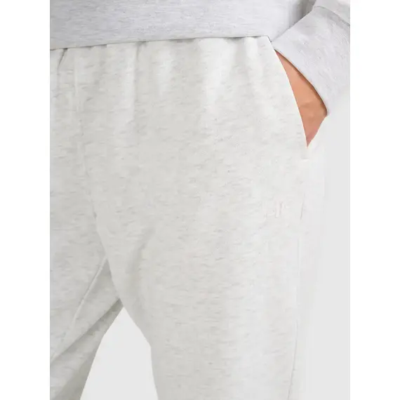 4F spodnie z dzianiny french terry z kolekcji basic