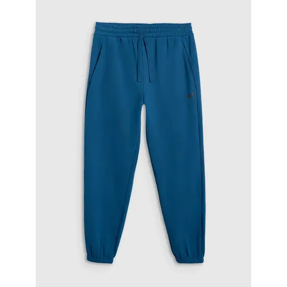 4F spodnie męskie z dzianiny french terry z kolekcji basic