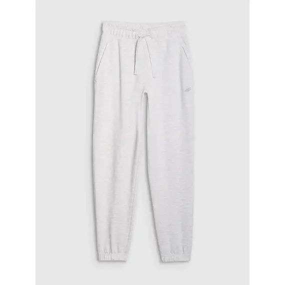 4F spodnie z dzianiny french terry z kolekcji basic