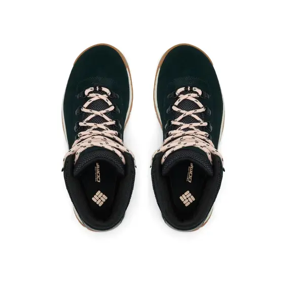 COLUMBIA buty damskie NEWTON RIDGE™ PLUS WATERPROOF AMPED czarny