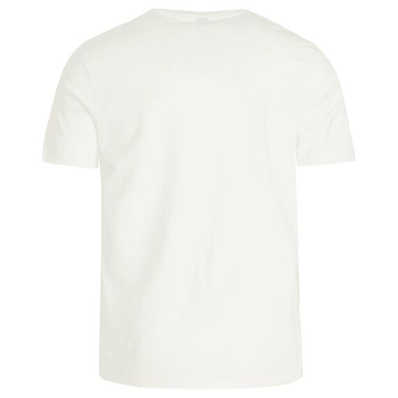 PROTEST Koszulka męska PRTCAARLO biała, Kolor: beżowy, Rozmiar: L, 2 zdjęcie PROTEST Koszulka męska PRTCAARLO biała, Kolor: beżowy, Rozmiar: L, 2 zdjęcie