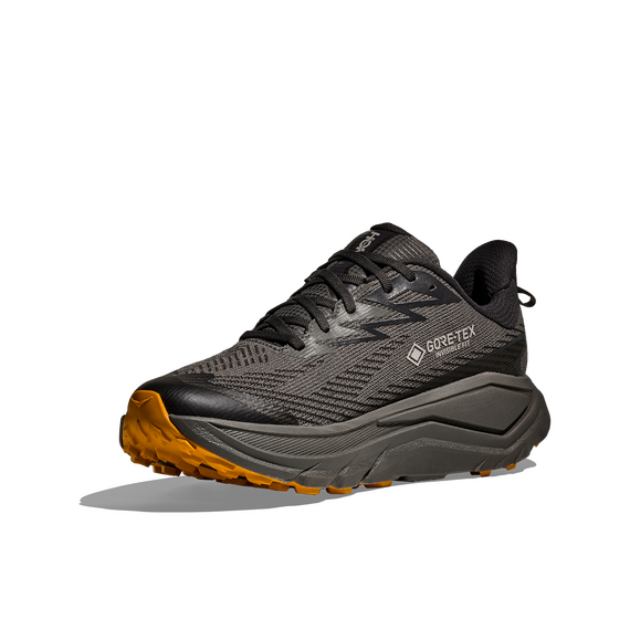 HOKA buty męskie do biegania Challenger 8 GTX szare, Kolor: szary, Rozmiar: 42, 2 zdjęcie