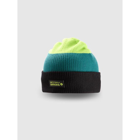 4F ESSENTIAL czapka zimowa dziecięca chłopięca zielona, Kolor: zielony, Rozmiar: one size, 2 zdjęcie